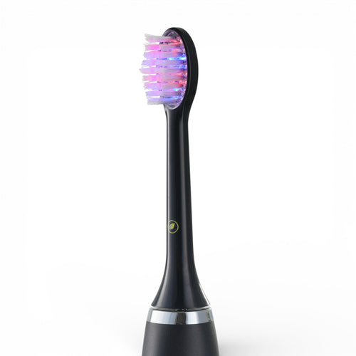 DualRay Replacement Brush Head