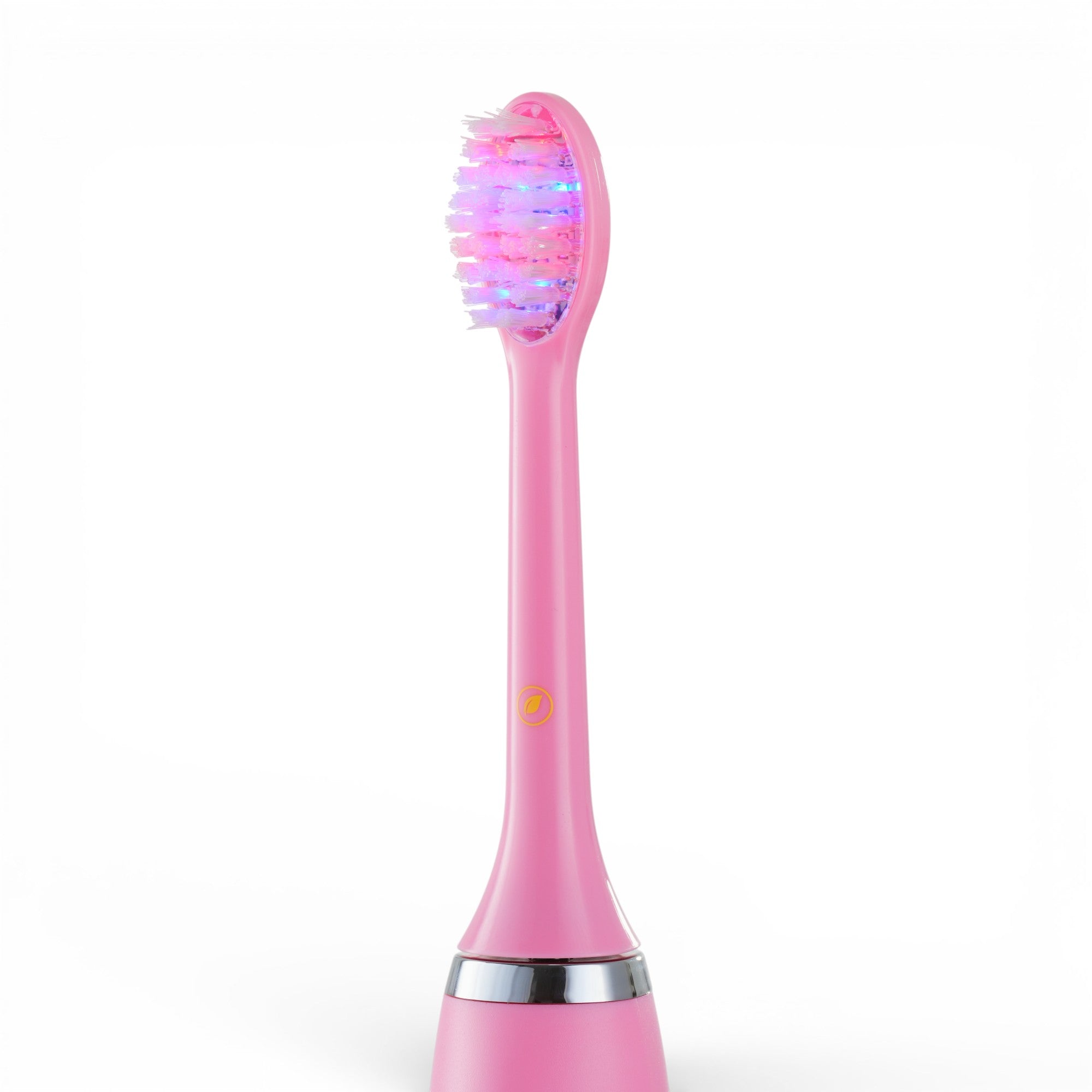 DualRay™ Replacement Brush Head