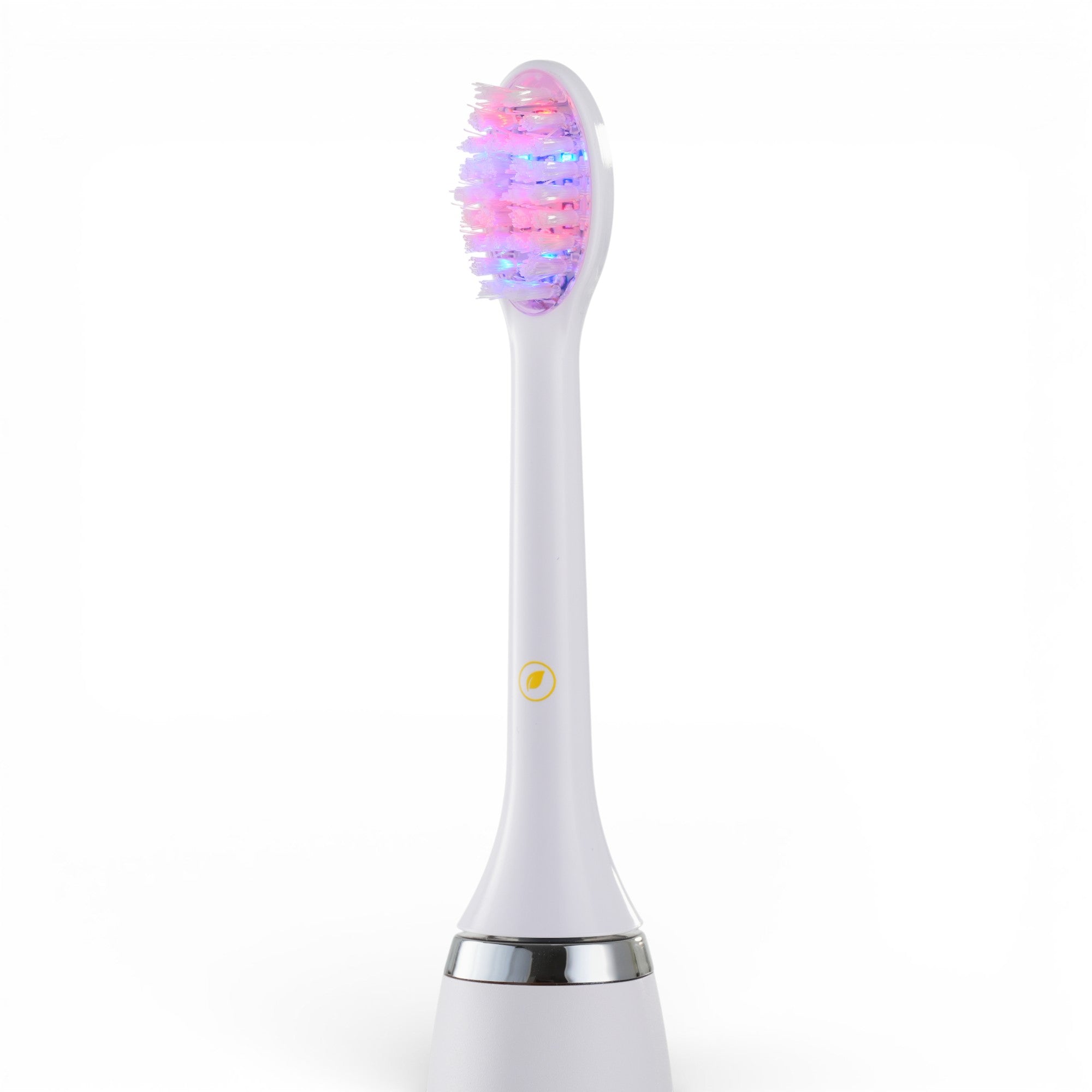 DualRay™ Replacement Brush Head