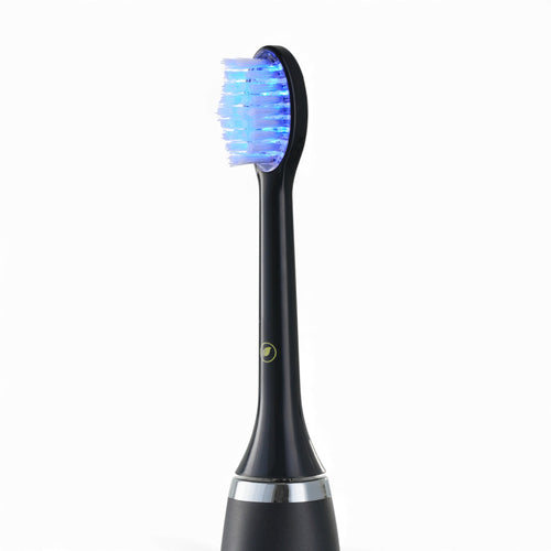 BlueRay Replacement Brush Head