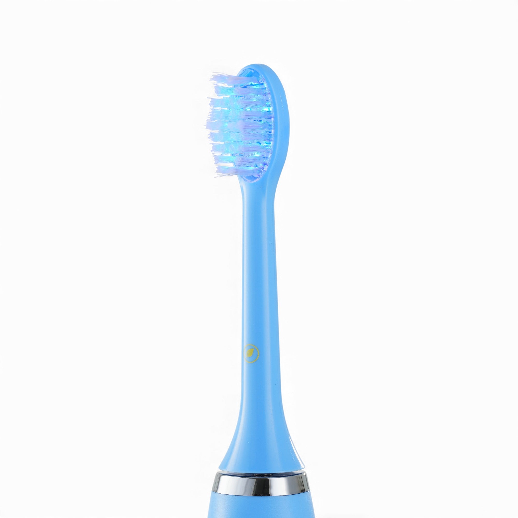 BlueRay™ Replacement Brush Head