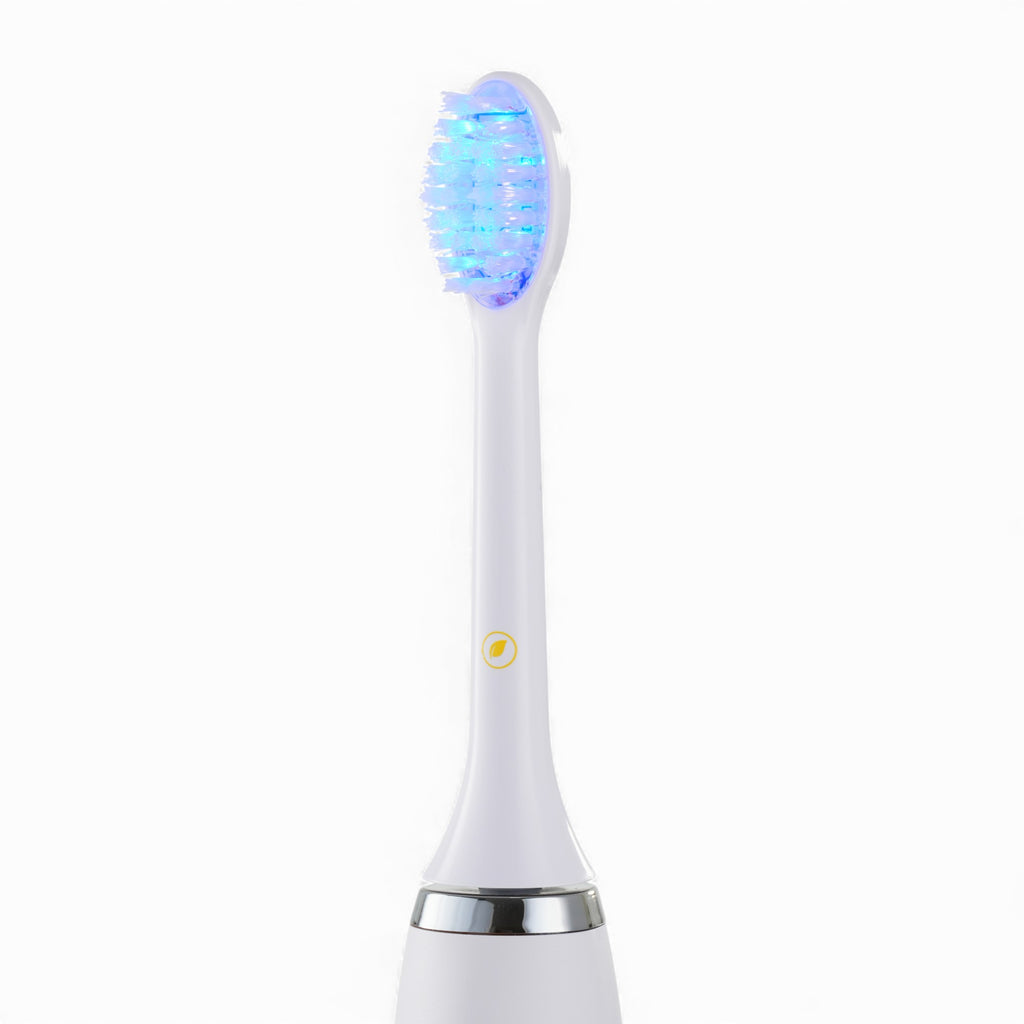 BlueRay Replacement Brush Head